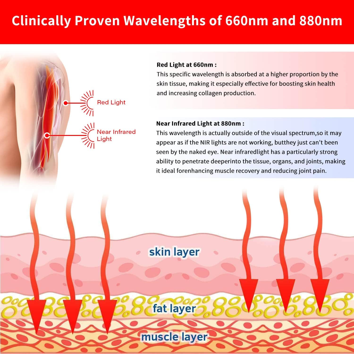 New Red Light & Infrared Light Therapy Belt for Back Pain Relief Flexible Wearable Wrap Deep Therapy with Auto Off Timer