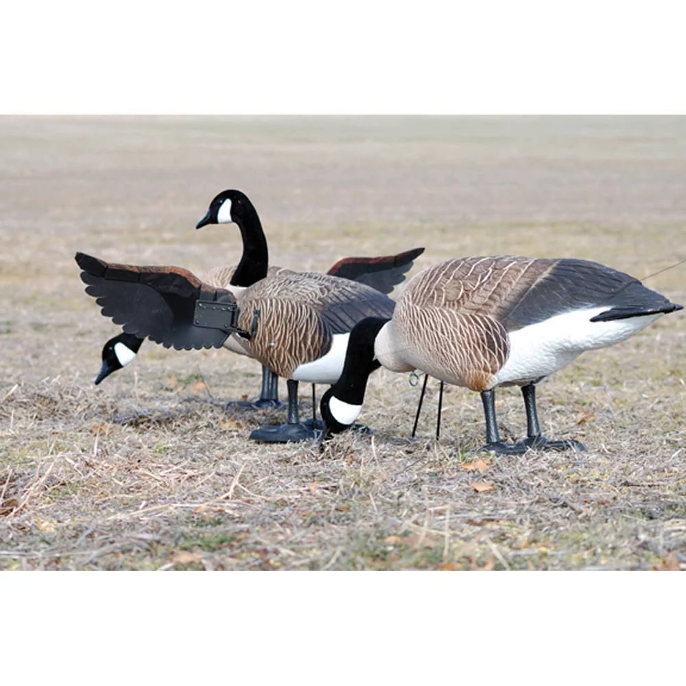 Higdon Finisher Flapper Full Body Canada Goose Decoy