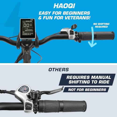 HAOQI Electric Bike for Adults, 750w Brushless Motor,48V 27.8Ah Dual Battery for 90-120 Miles Range,20 * 4" Fat Tire Cargo Ebike, 450lbs Weight Capacity with Front and Rear Baskets