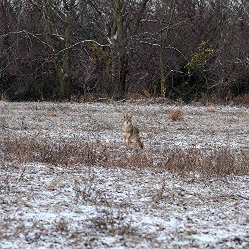 Lucky Duck Revolt E-Caller Predator Call