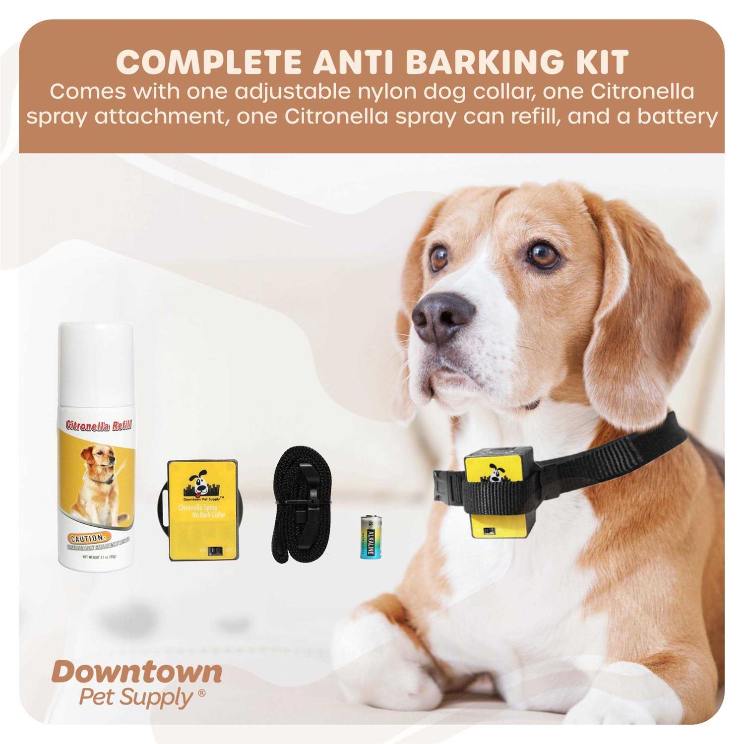 Downtown Pet Supply Citronella Bark Collar - Pet Supplies online store