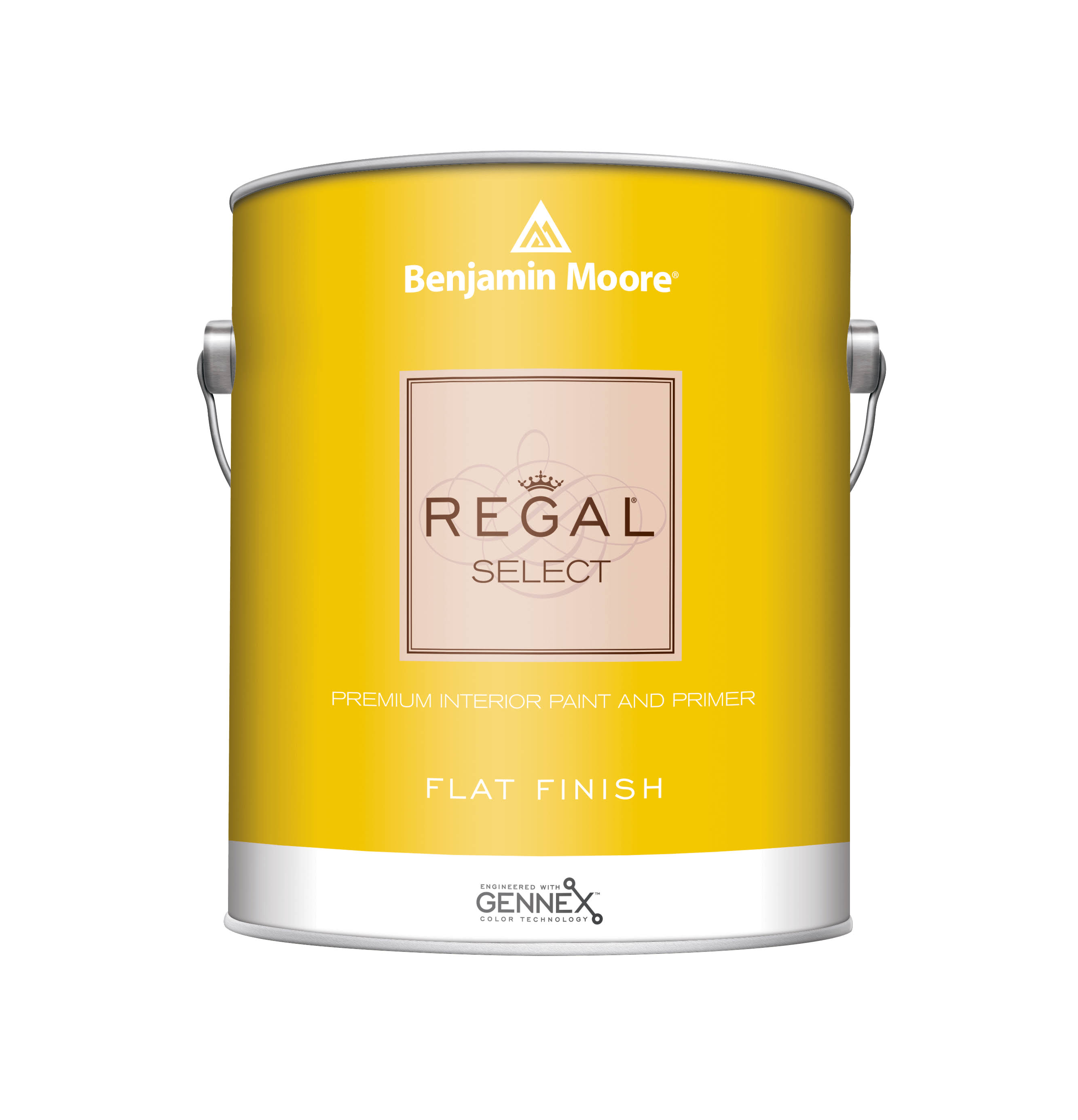 Benjamin Moore Regal Select Interior Paint Flat 2X Base Gallon