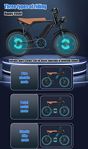 Electric Bike for Adults,20" Fat Tire 48V 15Ah Removable Battery Electric Bicycle 750W 30MPH Beach Snow Mountain Off Roading E Bike Moped for Adults, Range 30-50 Miles Shimano 7 Speed Dirt Bike