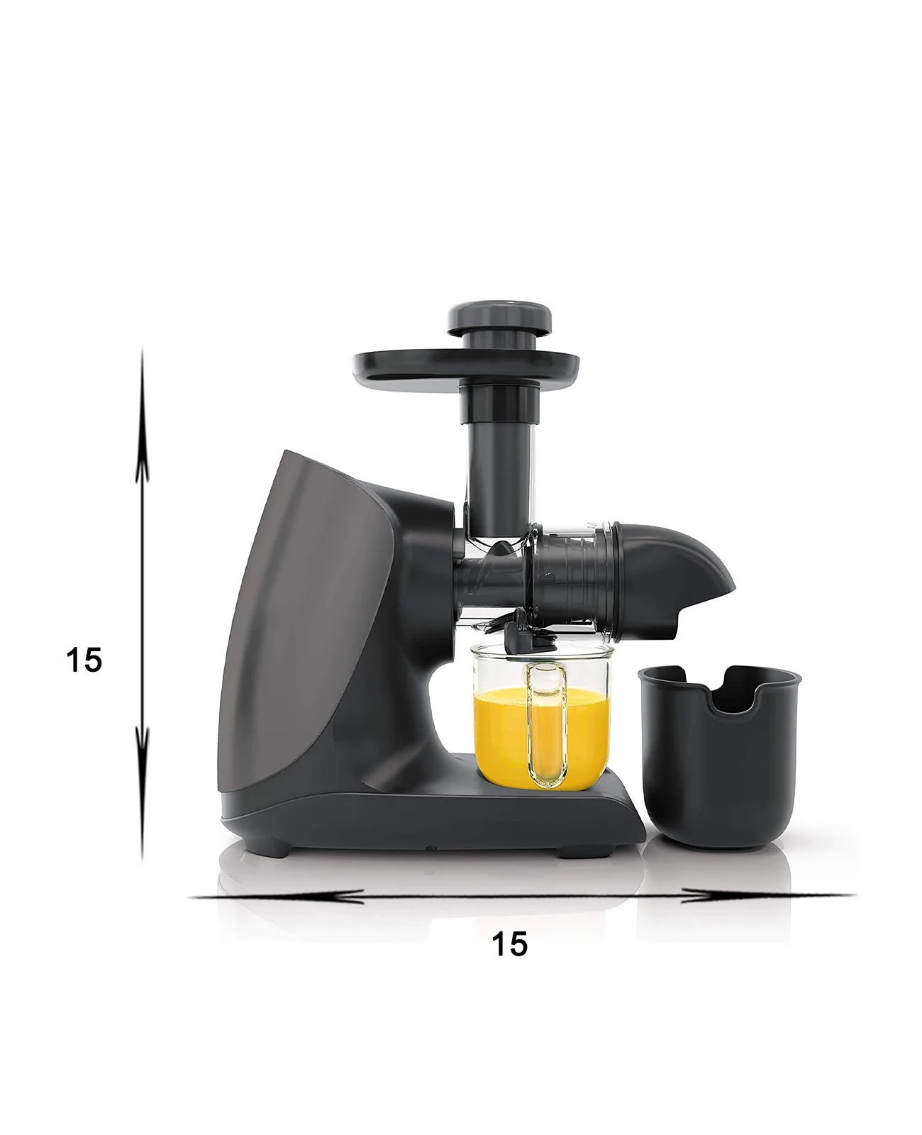 Masticating Juicer for Fruits Vegetables - Cold Press Slow Juicer with Total Pulp Control (Black)
