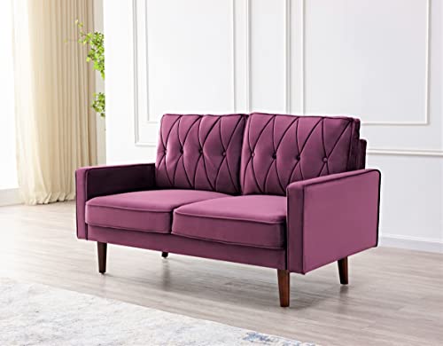 Modern Style Tufted Velvet Couch for Living Room with Soft Fabric Upholstery and Solid Wood Frame, 57.5'' Wide Loveseat, EGGPLANT