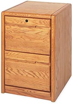 Bowery Hill 2 Drawer Wood File Cabinet in Medium Oak, Commercial Grade