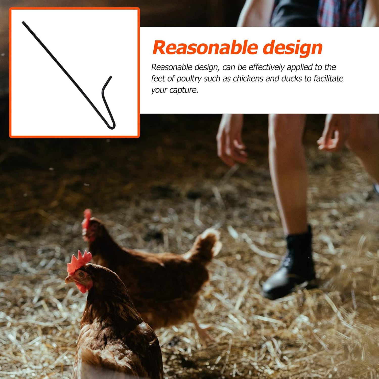 Scicalife 1pc Chicken Trapping Hook Pole Home Chicken Catcher Duck Catching Hook Rod Pack of 2