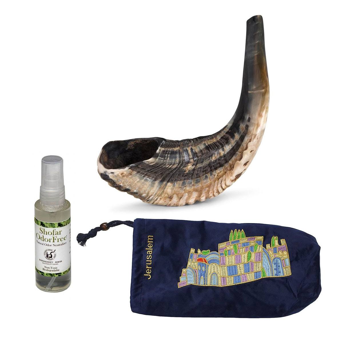 Classical Ram&s Horn Shofar - Medium - Natural Dark