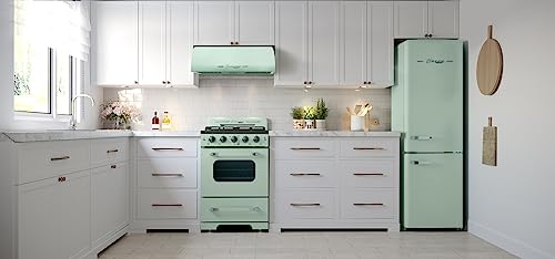 Classic Retro 24-inch 2.9 cu/ft Natural Gas Range with Sealed Burners