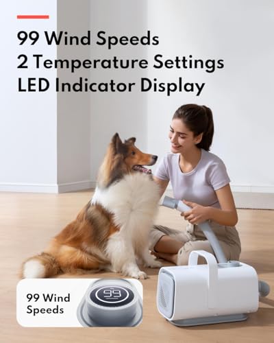 HomeRunPet Drybo Plus Pet Dryer Box & Grooming Hair Dryer