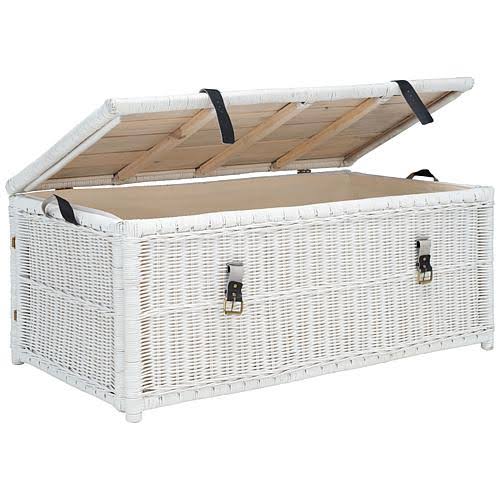 Safavieh Kestin Rattan Storage Trunk - White/Brown