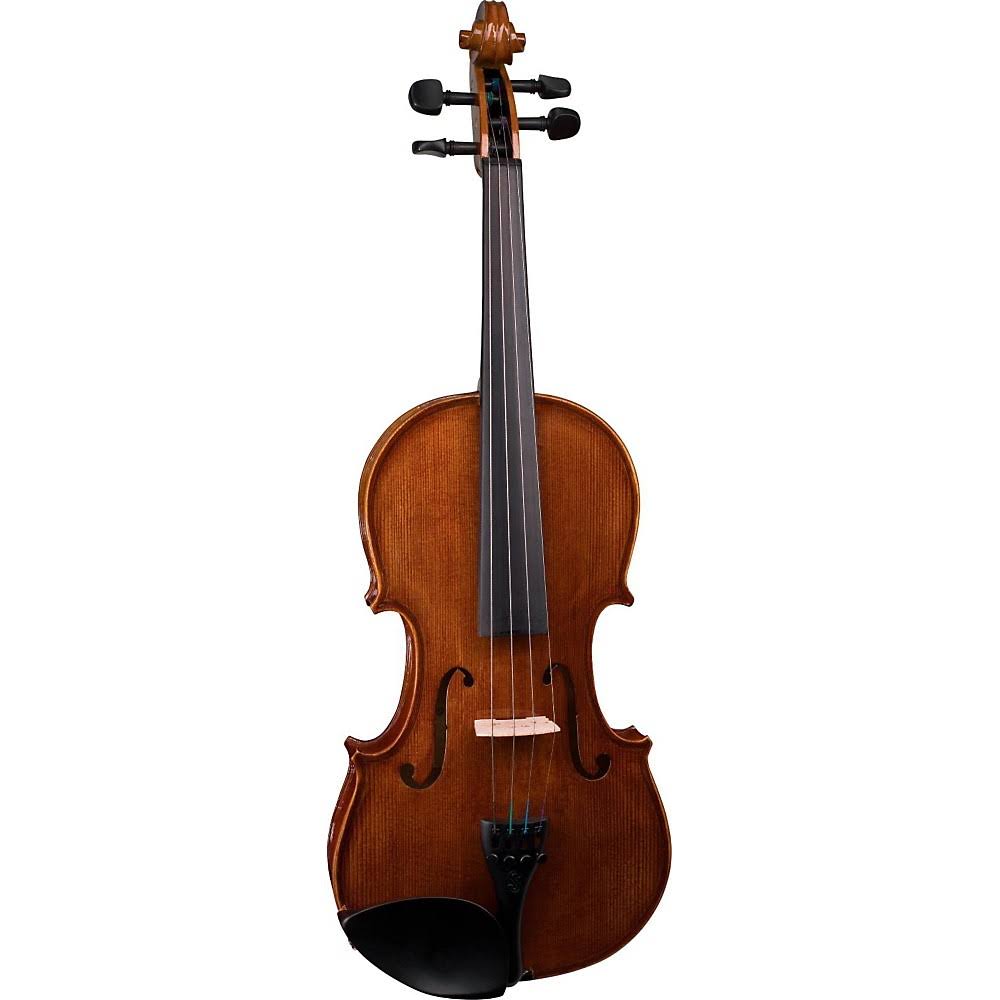 Stentor Violin Outfit Student Series II 4/4