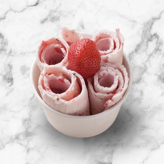 Whynter Icr-300ss Portable Instant Ice Cream Maker Frozen Pan Roller in Stainless Steel