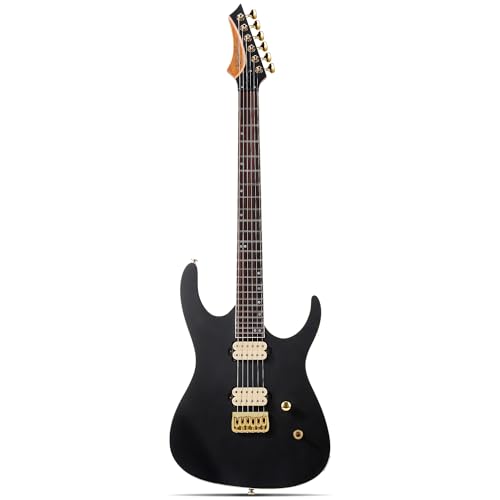 Leo Jaymz Electric Guitar Monsoon Series,Reverse Headstock,Mahogany Body,Roasted Maple Neck,Rosewood Fretboard,Locking Tuners,Rounded End Frets,AlnicoV Pickups,Fixed Bridge (Blue Flame)