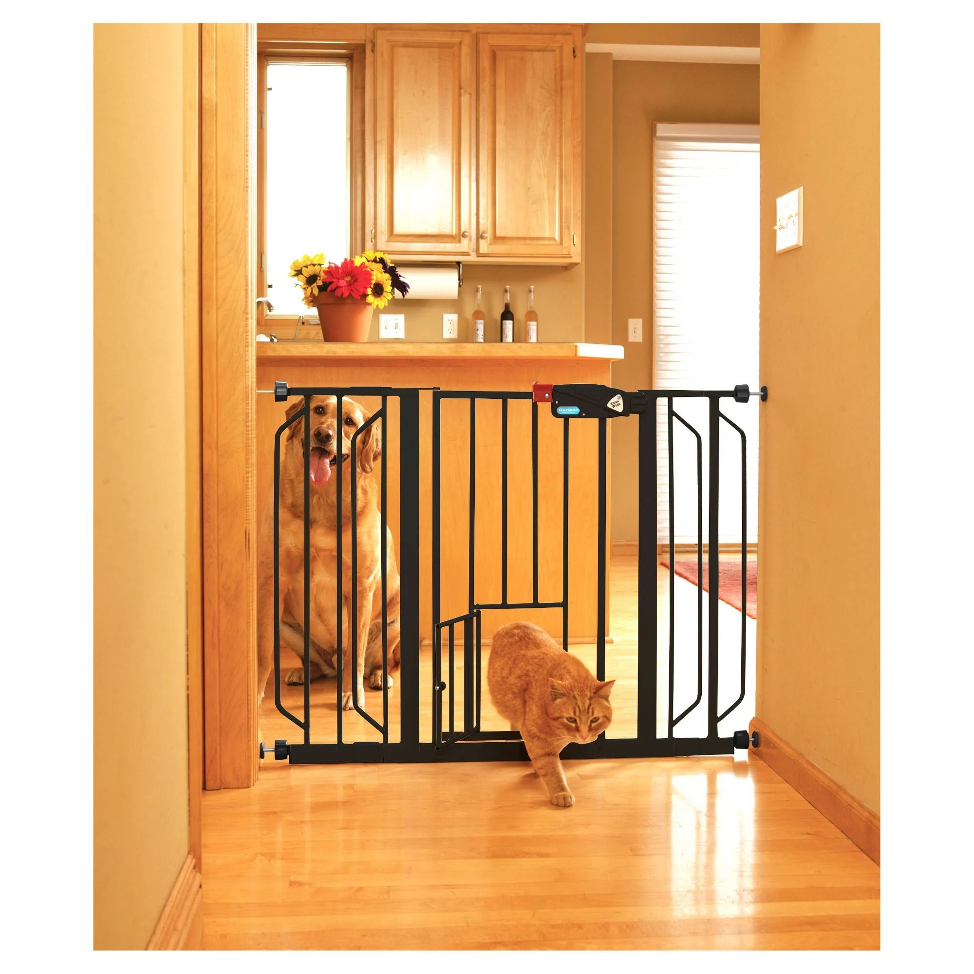 Carlson Extra Wide Gate For Pet with Door, Black