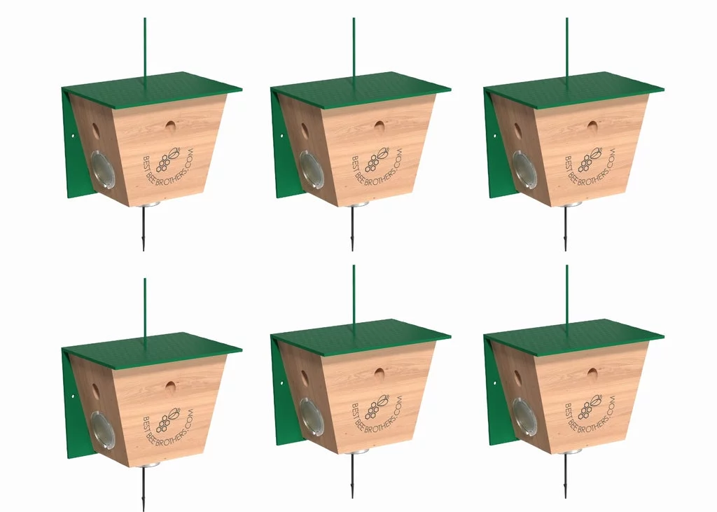 Turbo Trap 2.0 with Bee Vault 6 Pack for Carpenter Bees by Best Bee Brothers - Curated Treasures Market