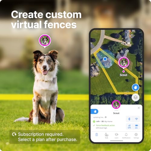 Halo Collar 3, Multifunctional GPS Wireless Dog Fence & Dog Training Collar with GPS Tracker, Subscription Required, Waterproof, Graphite (Small)