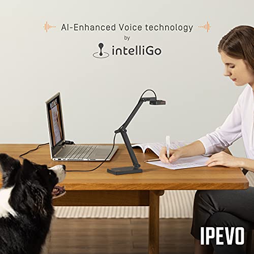 IPEVO V4K USB Document Camera