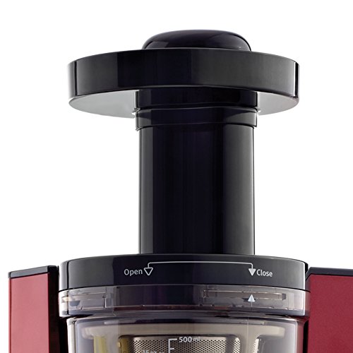 Omega Vertical Slow Masticating Juicer