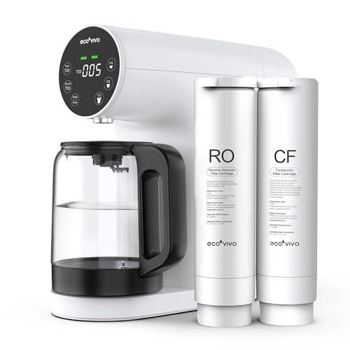 Ecoviva RO Water Filter