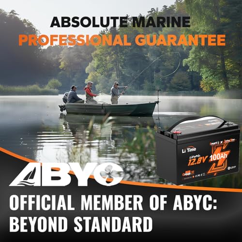 LiTime 12V 100Ah LiFePO4 Battery BCI Group 31 Lithium Battery Built-in 100A BMS, Up to 15000 Deep Cycles, Perfect for RV, Marine, Home Energy Storage