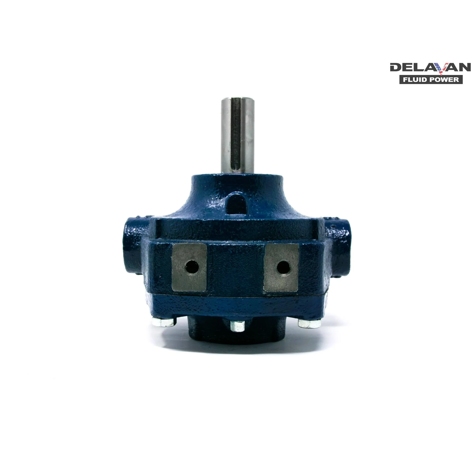 Delavan 8 Roller Pro Pump Cast Iron, 8900C