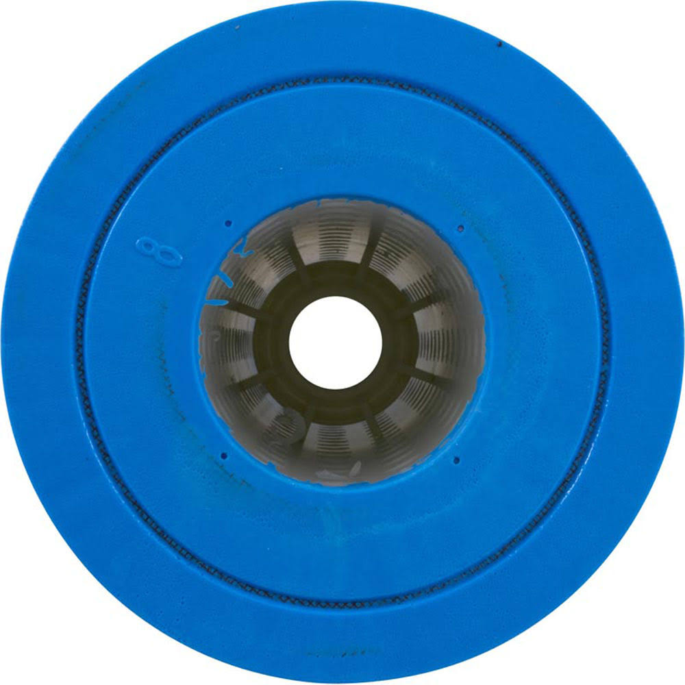 Pentair R173576 Replacement Cartridge for Clean Clear Plus 420