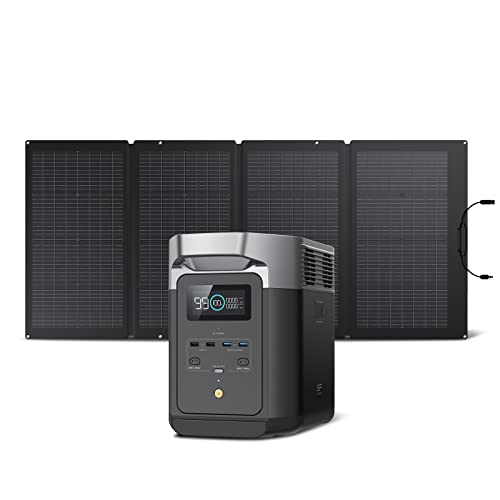 EF ECOFLOW Delta 2 with 220W Solar Panel Bundle