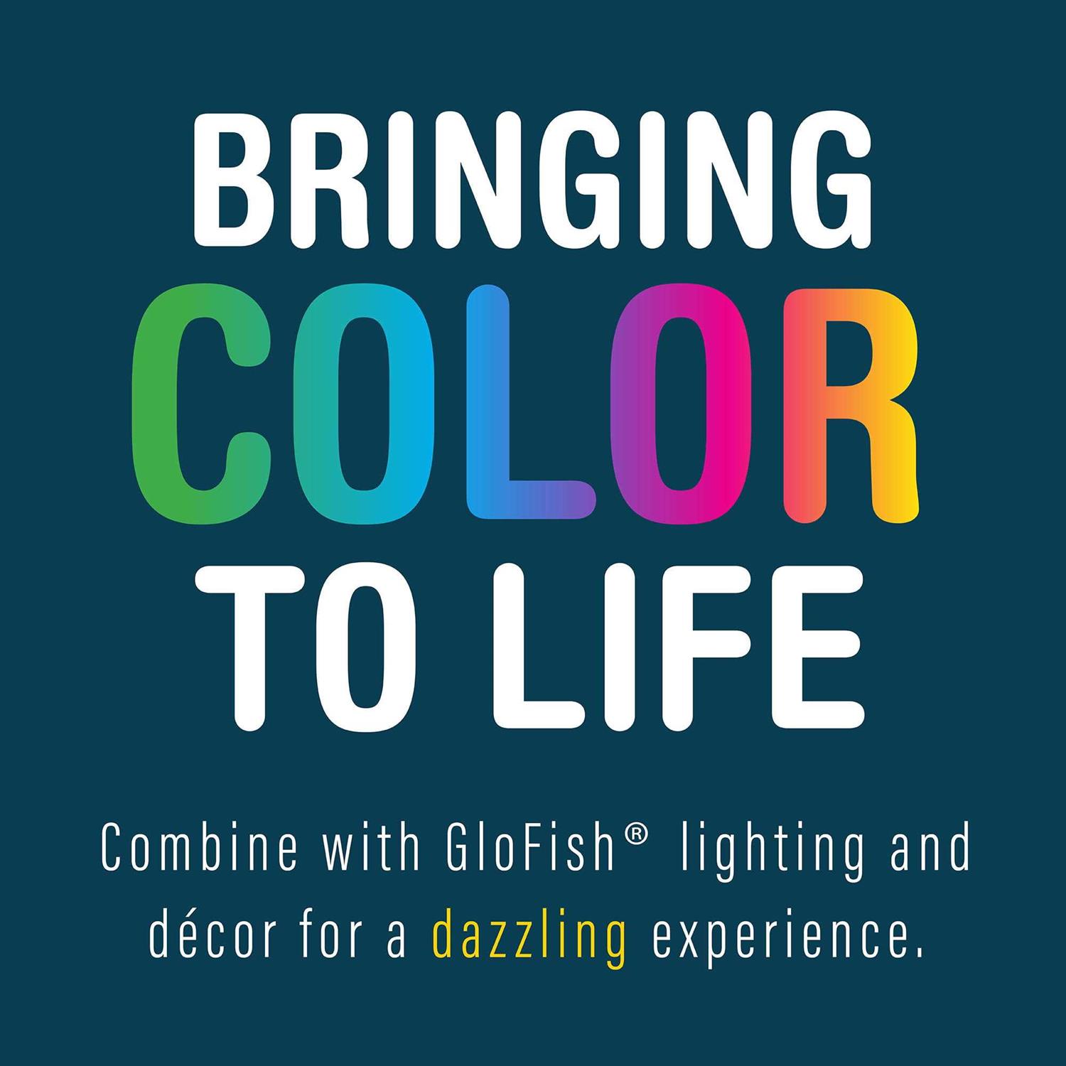 Glofish Betta Aquarium Kit 3 Gallons, Includes LED Lighting and Filter - Pet Supplies online store