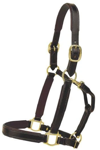 Tory Leather Company Padded Leather Halter