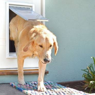 Endura Flap Door Mount Pet Door Medium / Double Flap / Tan