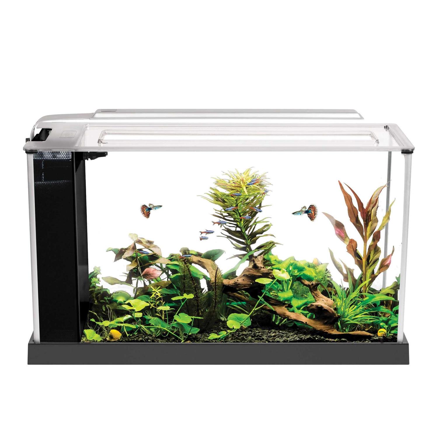 Fluval Spec V - Pet Supplies online store