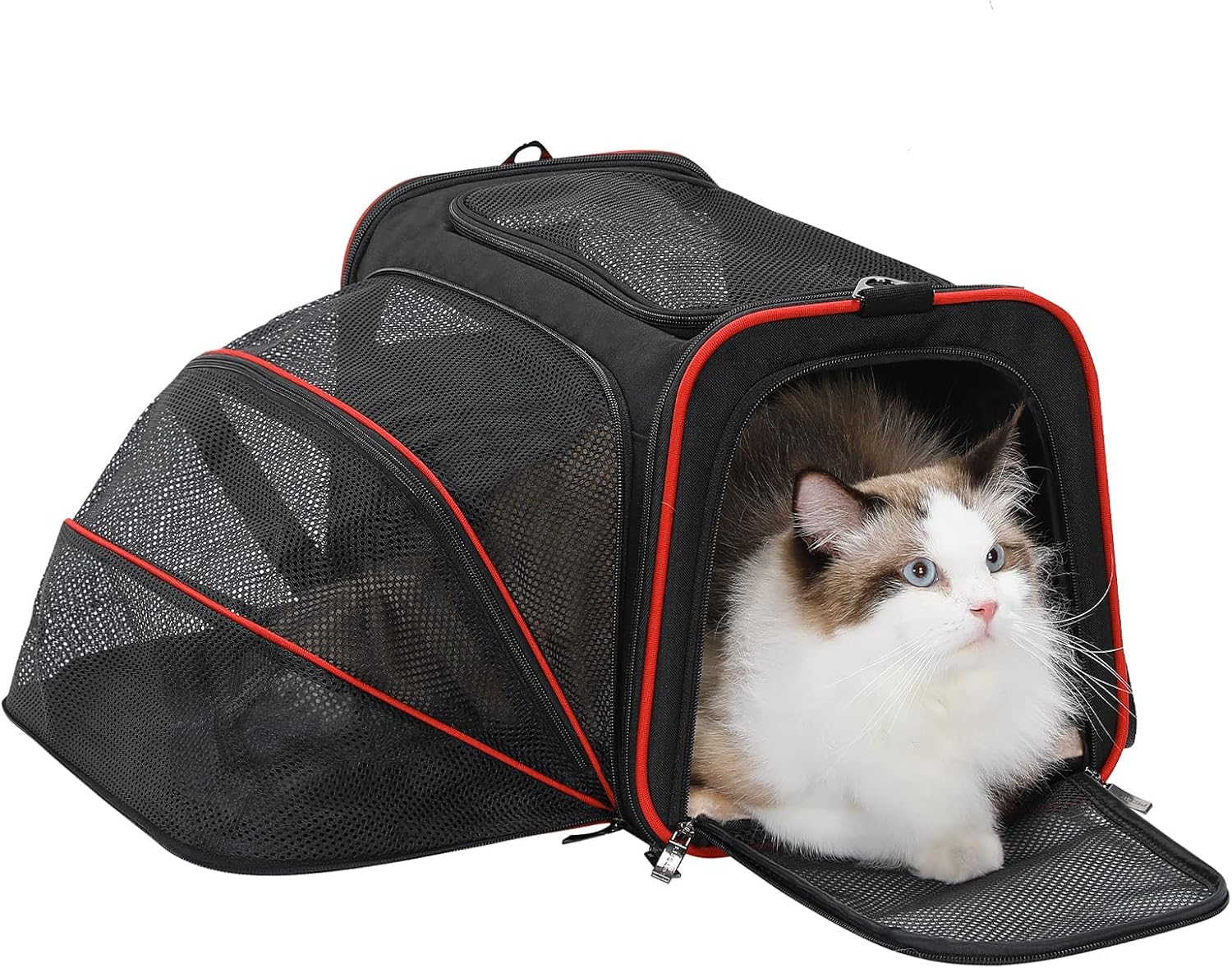 Petsfit Expandable Cat Carrier Dog Carriers,Airline Approved Soft-Sided Portable Pet Travel Washable Carrier for Kittens,Puppies,Removable Soft Plush mat and Pockets,Locking Safety Zippers