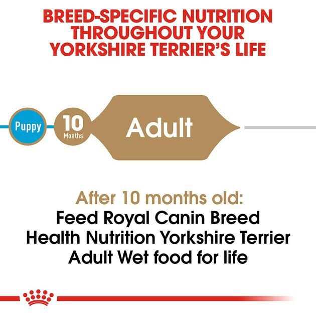 Royal Canin Breed Health Nutrition Yorkshire Terrier Adult Loaf In Sauce Dog Food - Pet Supplies online store