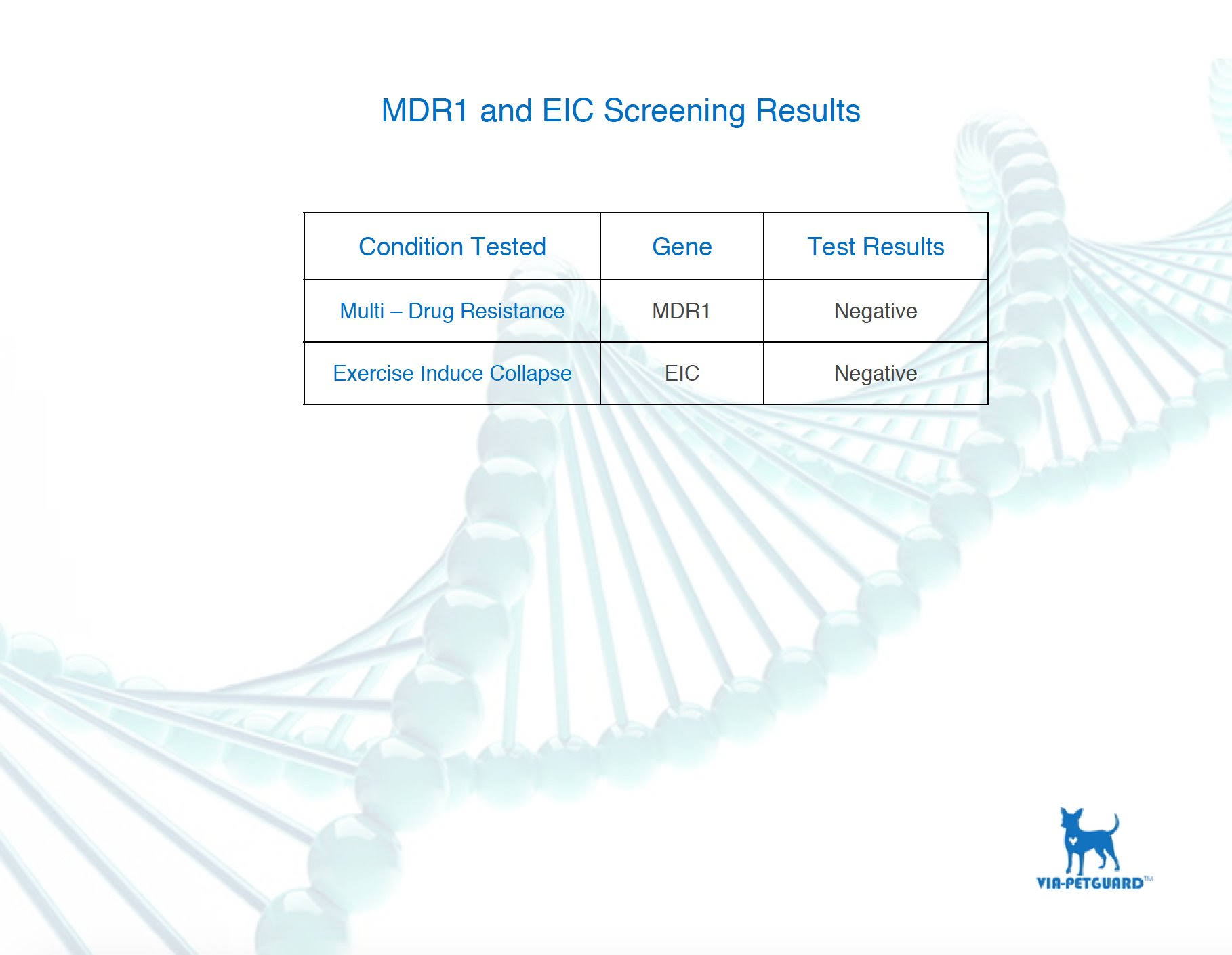 Dog DNA - Canine Breed Identification Test - Home Cheek Swab Kit