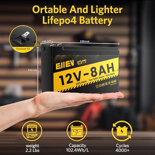 12V 100Ah Lithium Battery,Low-Temp Protection LiFePO4 Battery,Built-in100A BMS,15000+Deep Cycle,Rechargeable Lithium Iron Phosphate Batteries for Trolling Motors,Marine,RV,Camping,Home Energy
