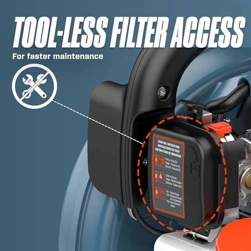SENIX 4QL 26.5 cc 4-Cycle Handheld Gas Leaf Blower, Up to 410 CFM and 125 MPH, Easy Start, Lightweight, Dual Grip Handle (BL4QL-L)