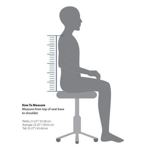 Therapeutica Spinal Back Support - Average