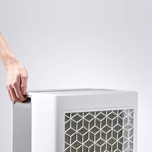 Midea Dehumidifier for Basement