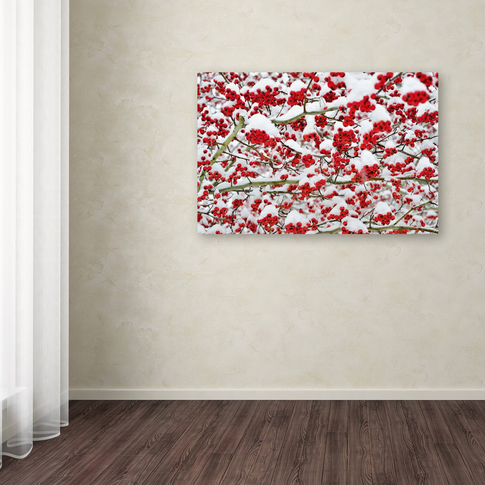Trademark Global Kurt Shaffer 'Winter Berries in The Snow' Canvas Art