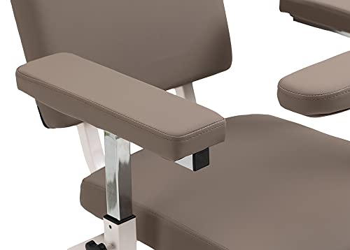 Blood Draw Chair,Comfortable Phlebotomy Chair for Spa Clinic and Treatment Room… (Gray, Normal)