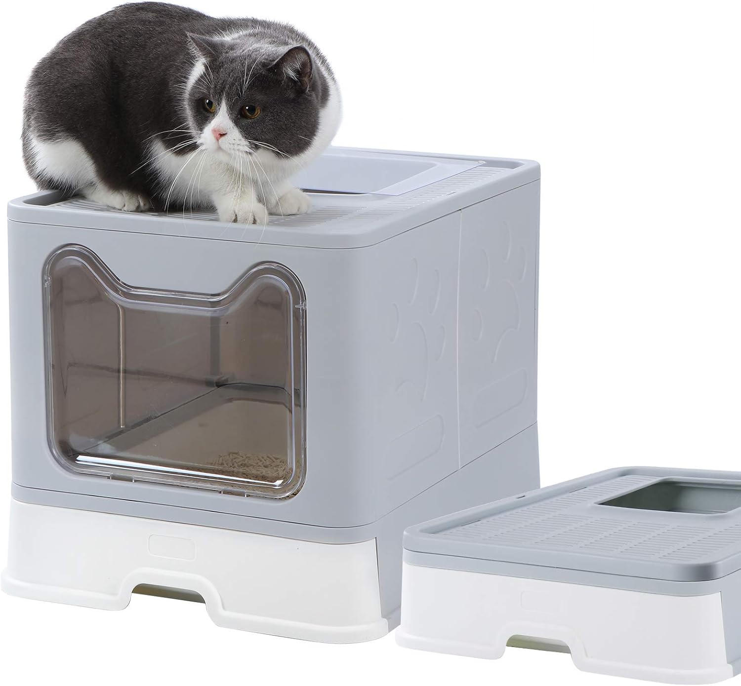 Dymoll Enclosed Litter Box Large, Foldable Top Entrance Cat Litter Box with Lid, Easy Clean No Smell Pet High Sided Litter Box Pack of 2