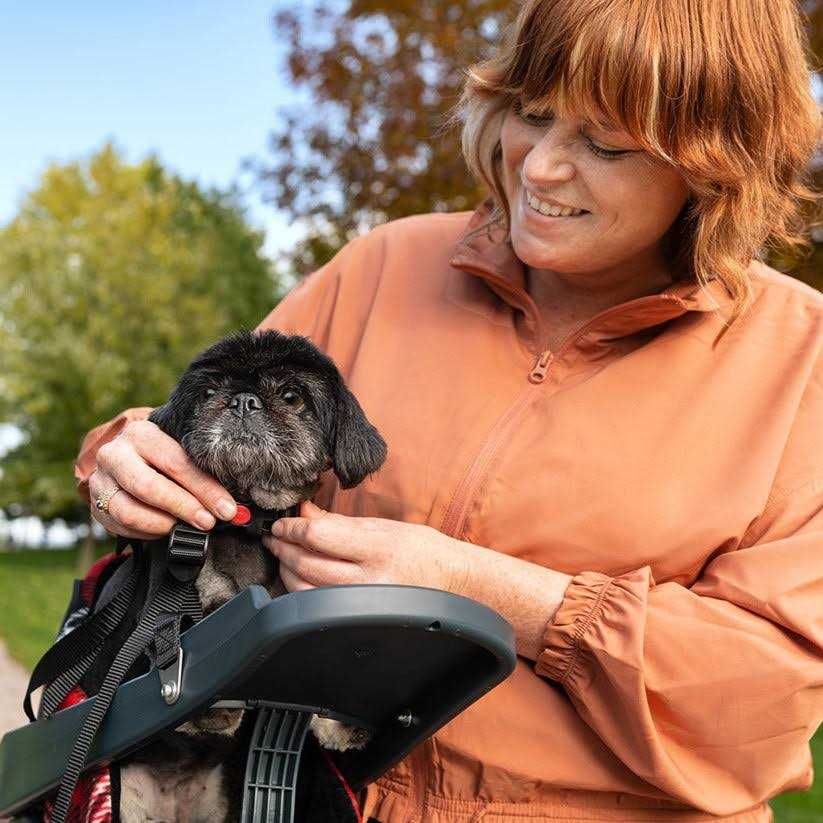 Buddyrider Dog Bicycle Seat Safety Dog Bike Seat For Dogs Up To 25 lbs - Pet Supplies online store