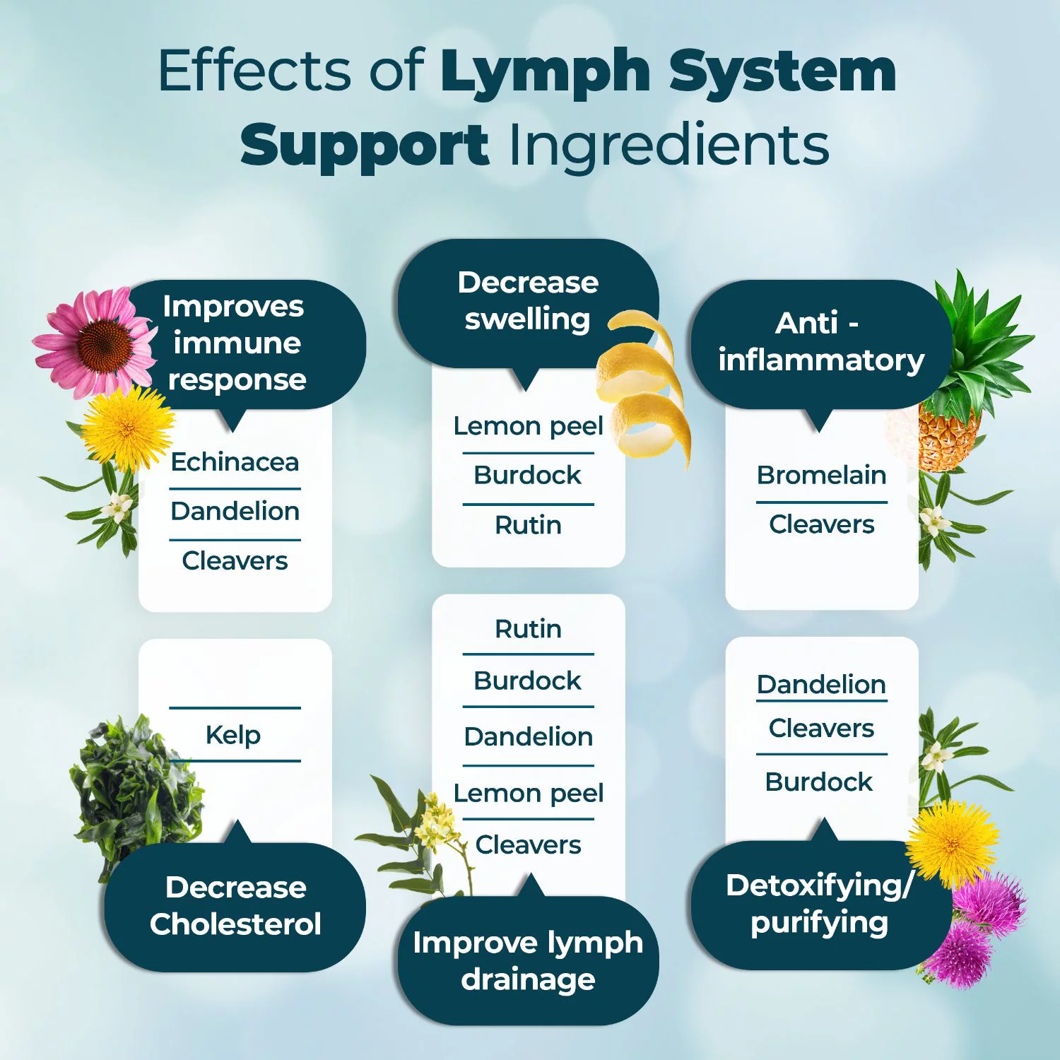 Lymphatic Support, Lymphatic Supplement To Reduce Swelling, PureHealth Research x6