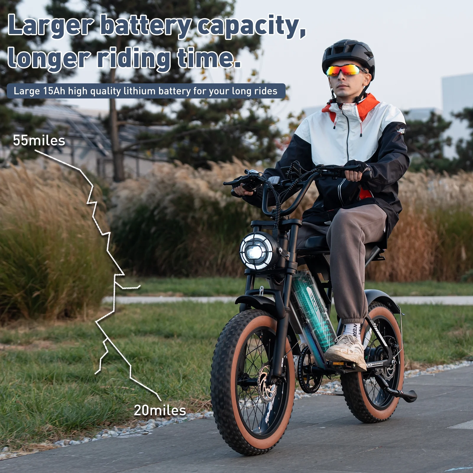 RCB 750W Electric Bike for Adults, 48V 15Ah Removable Li-Ion Battery, 20" 4.0 Fat Tire Electric Mountain Bicycle Beach Bike Snow Bike Ebike for Men&Women,Black