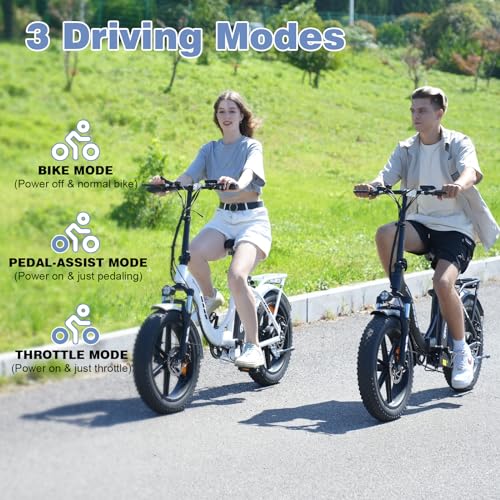 EVERCROSS EK6 Electric Bike 20" x 4.0 Fat Tire Foldable E Bike with 48V 15Ah Removable Battery, 750W Mountain Adult Electric Bicycle with 7 Gears, 55-100KM Long Mileage