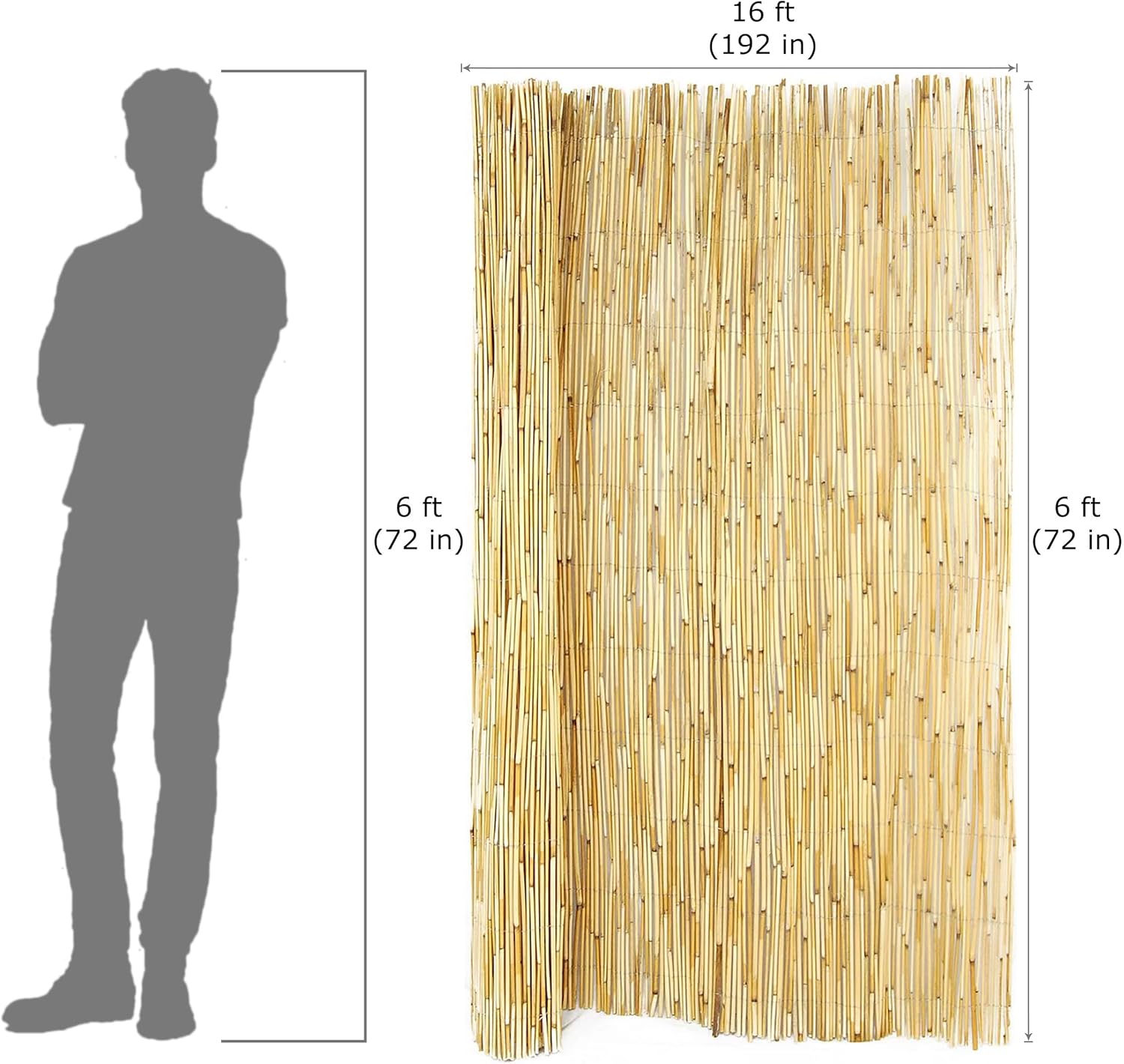 Forever Bamboo Reed Fencing, 6ft H x 16ft L
