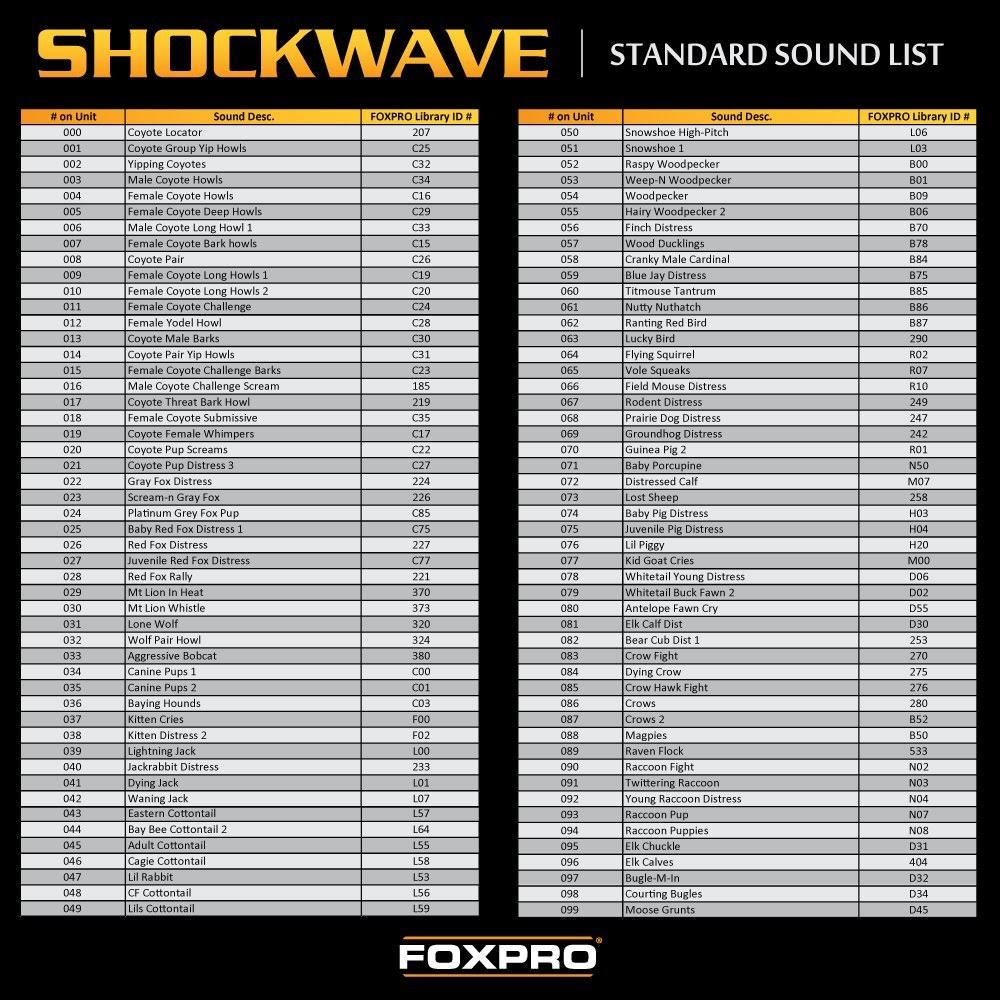 Foxpro Shockwave Game Call