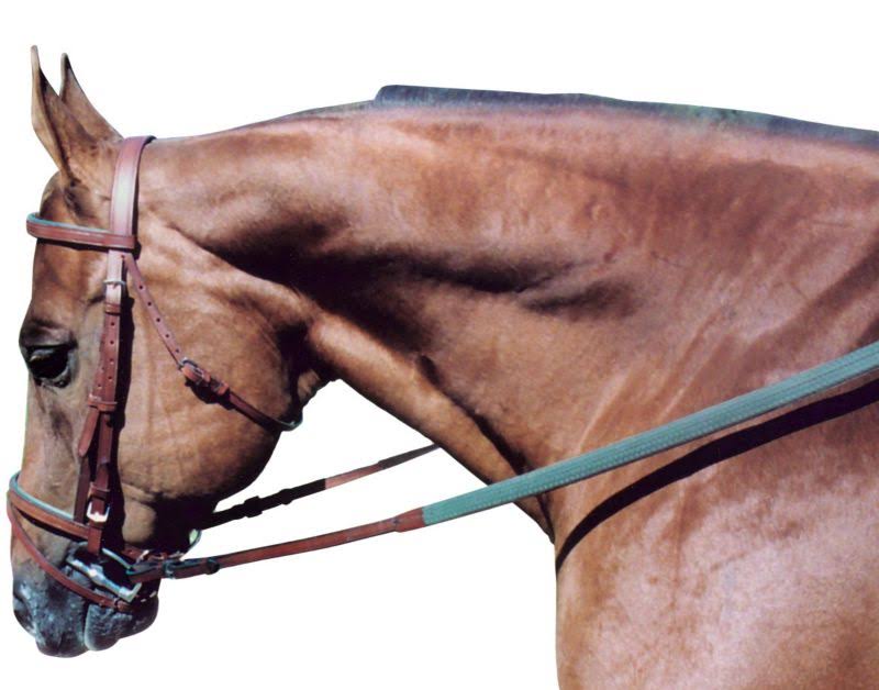 Tory Leather Padded Flat Bridle COB Oakbark/Grn