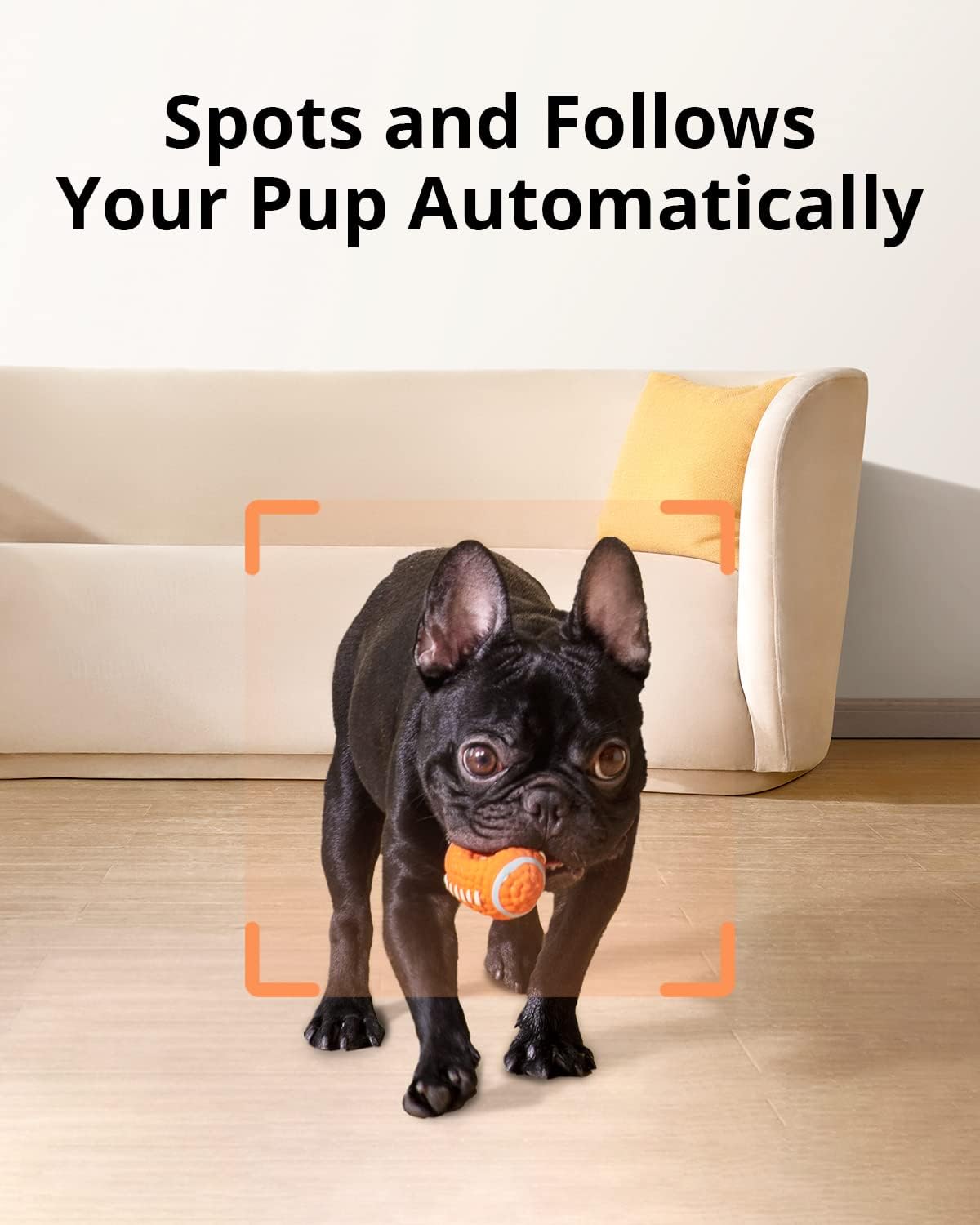 eufy Pet Dog Camera, Free Smart AI Tracking and Monitoring, 270-Degree Rotation, 1080p Pet Camera Tossing Treat Dispenser, Doggy Diary, Local Storage, 2-Way Audio, Phone App, No Monthly Fee